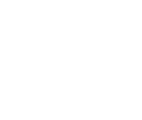 Donington Park GP